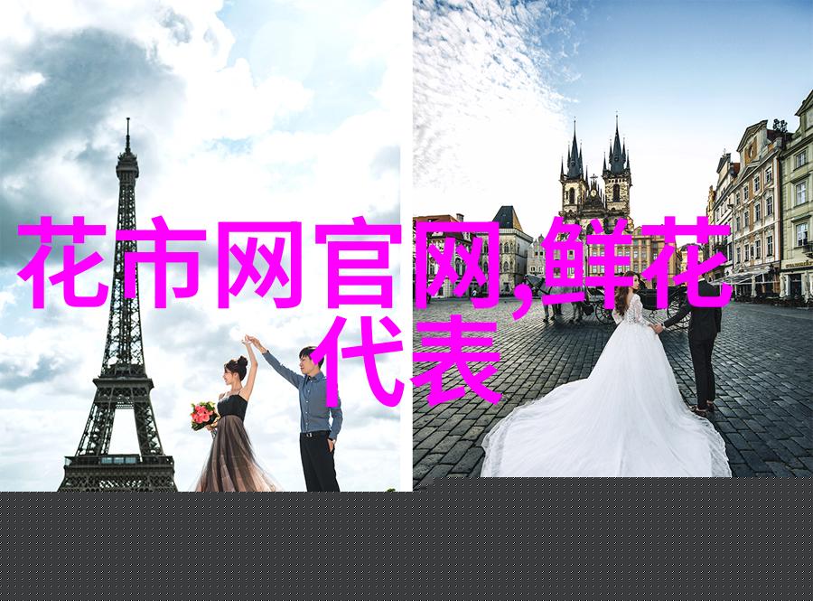 共和 实体 鲜花店