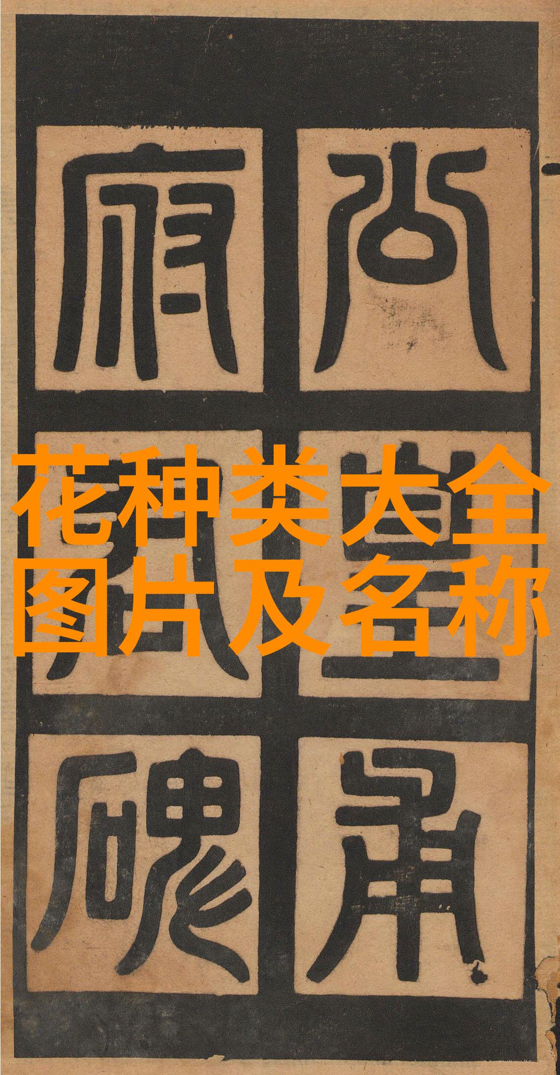 福州马尾区 周围鲜花店