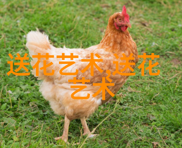 送女人不能不送花